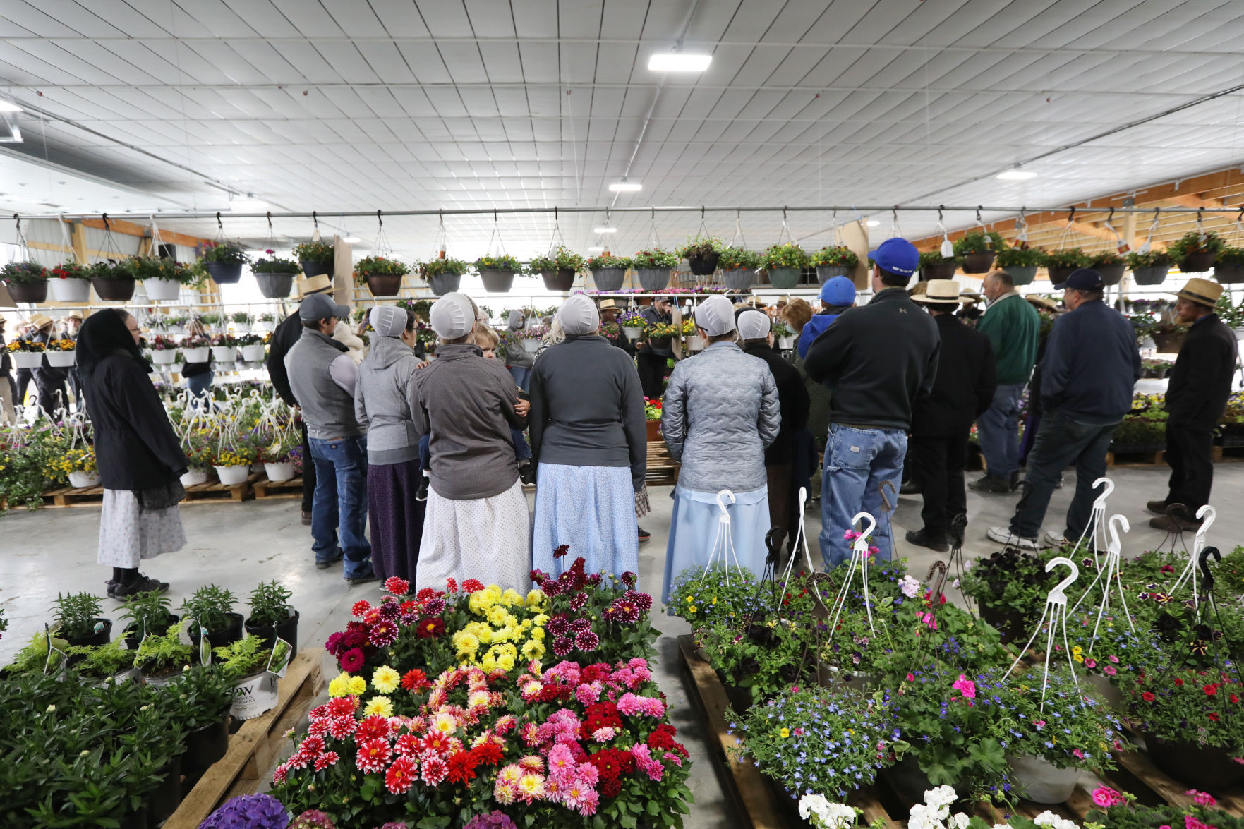 Platteville Produce Auction